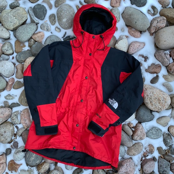 north face mountain light 2019